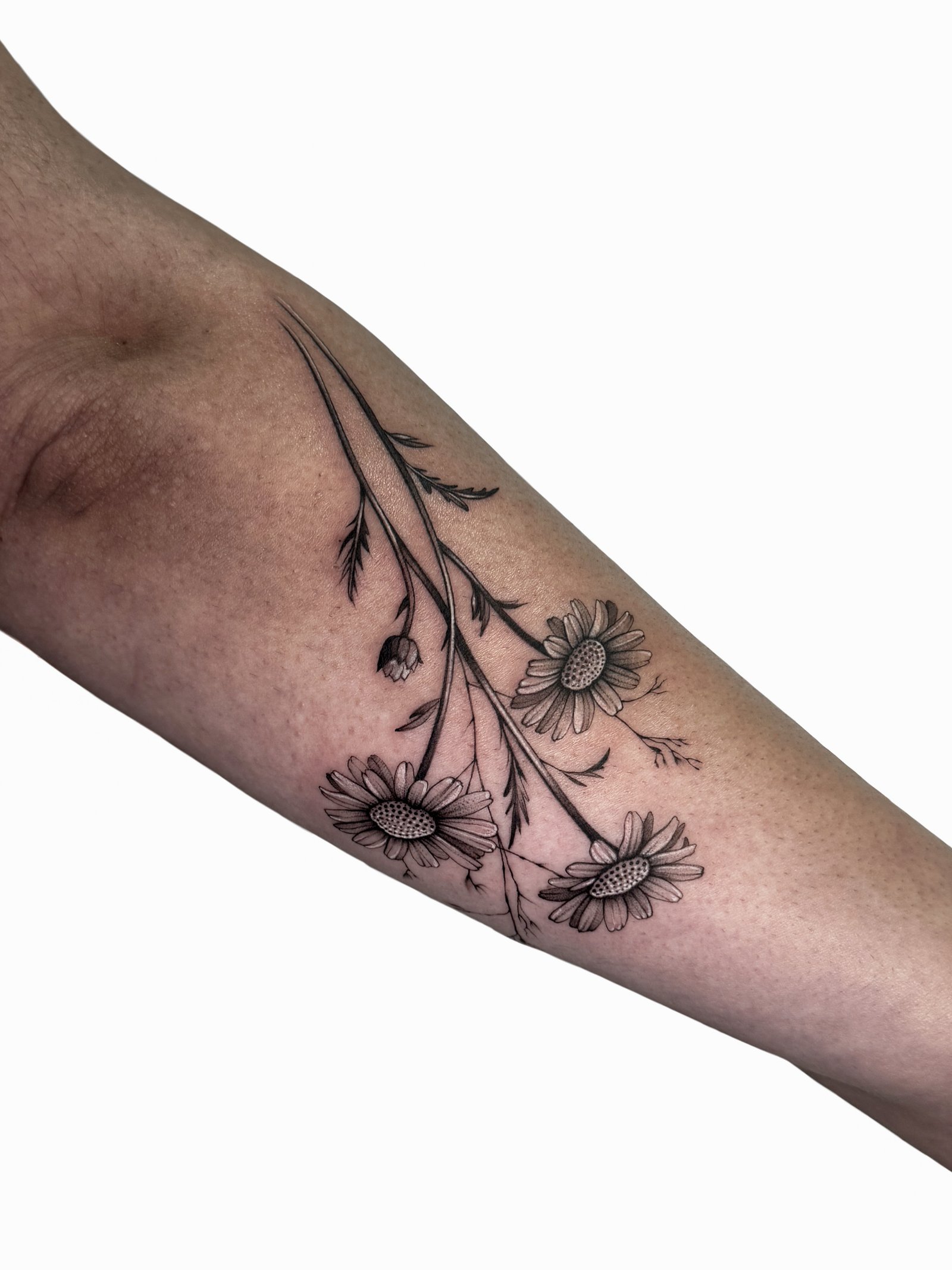Lynn Acra Tattoo Work